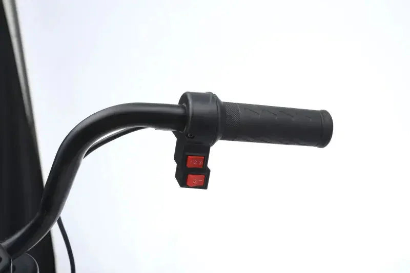 11Cart Ghost Rider Edition β New 12V Electric Ride-On Bike for Kids