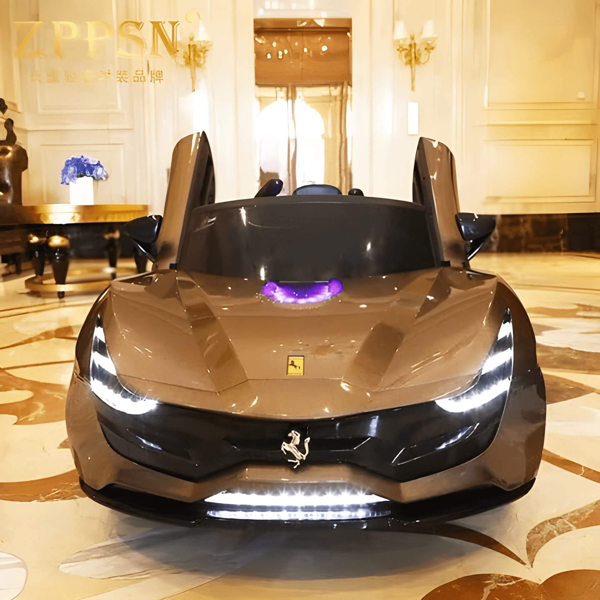 Ferrari 12v electric outlet car